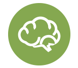 光遗传 / 化学遗传 / 生物探针